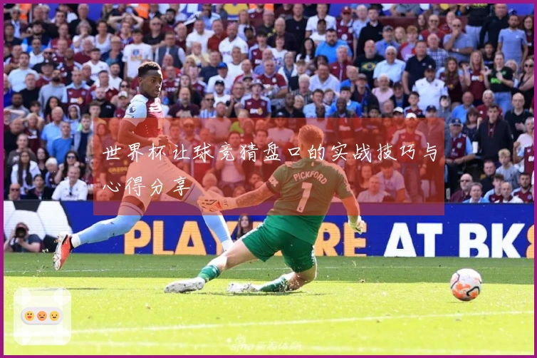 世界杯让球竞猜盘口的实战技巧与心得分享