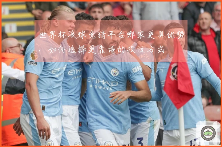 世界杯滚球竞猜平台哪家更具优势，如何选择更靠谱的投注方式