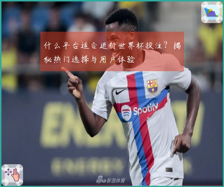 什么平台适合进行世界杯投注？揭秘热门选择与用户体验