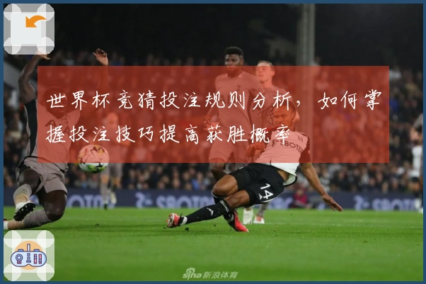 世界杯竞猜投注规则分析，如何掌握投注技巧提高获胜概率