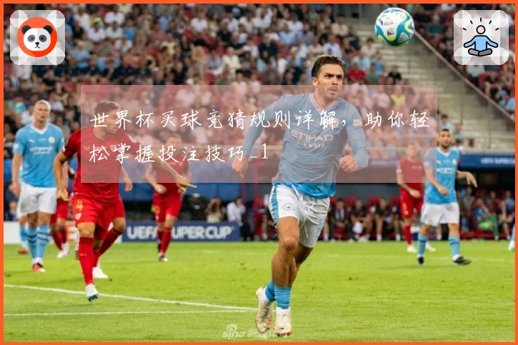 世界杯买球竞猜规则详解，助你轻松掌握投注技巧_1