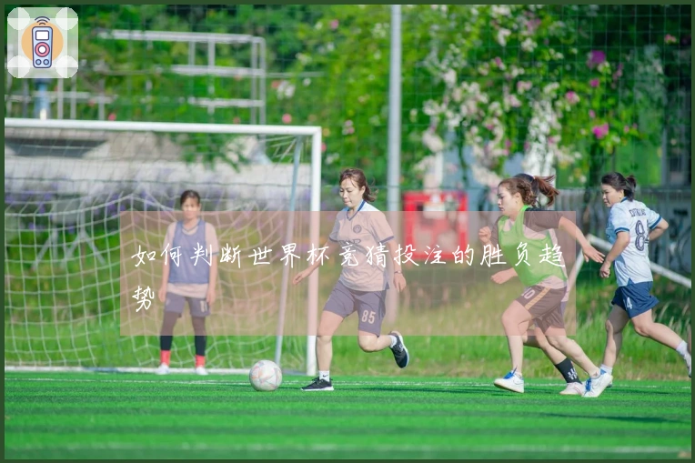 如何判断世界杯竞猜投注的胜负趋势