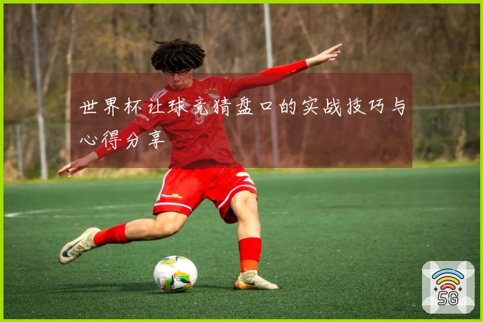 世界杯让球竞猜盘口的实战技巧与心得分享