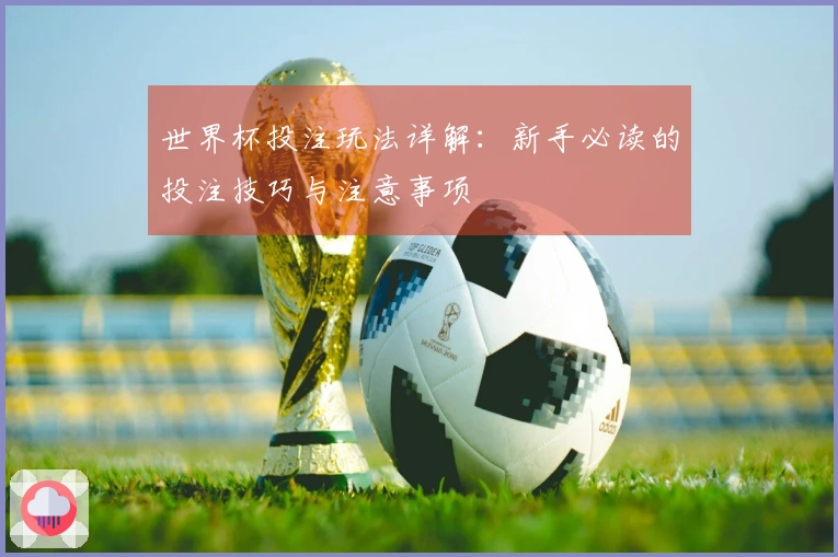 世界杯投注玩法详解：新手必读的投注技巧与注意事项