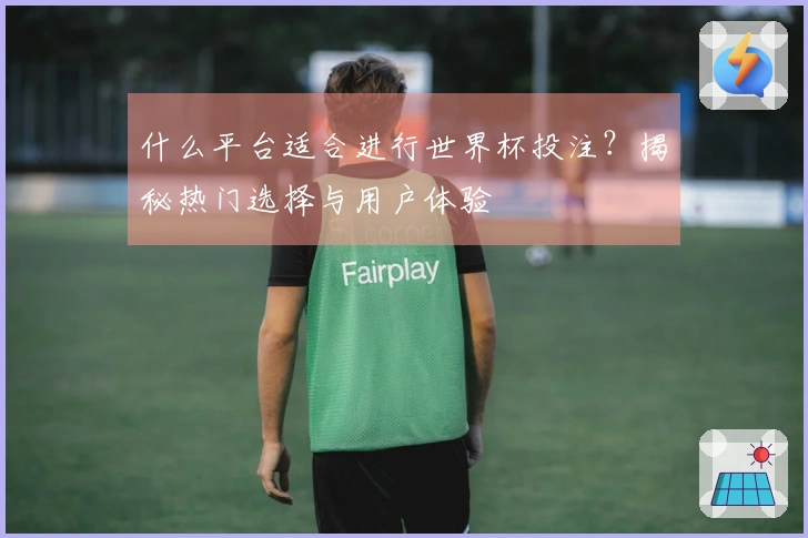 什么平台适合进行世界杯投注？揭秘热门选择与用户体验