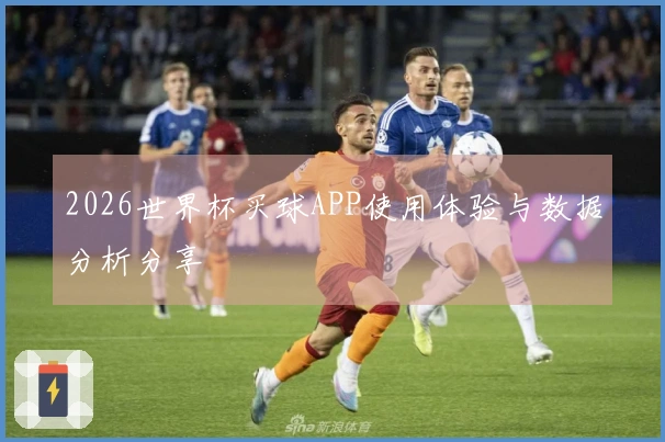 2026世界杯买球APP使用体验与数据分析分享