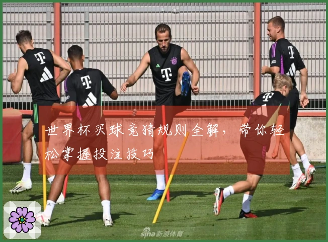世界杯买球竞猜规则全解，带你轻松掌握投注技巧