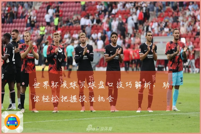 世界杯滚球买球盘口技巧解析，助你轻松把握投注机会